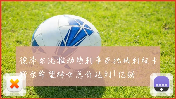 德泽尔比推动热刺争夺托纳利纽卡斯尔希望转会总价达到1亿镑