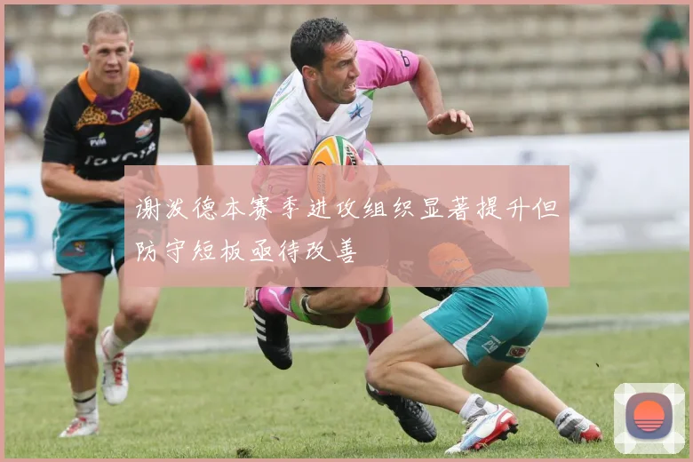 谢泼德本赛季进攻组织显著提升但防守短板亟待改善