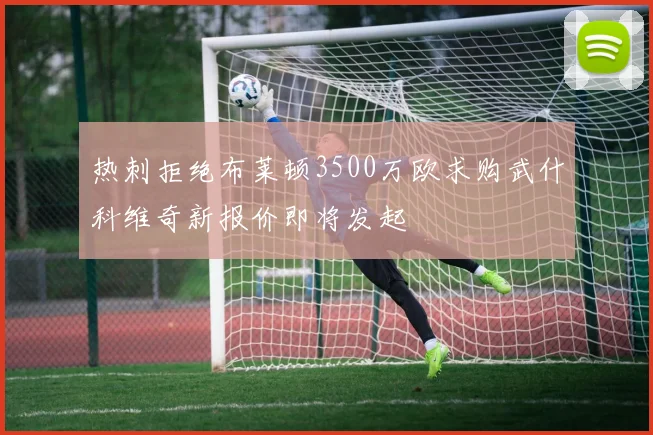 热刺拒绝布莱顿3500万欧求购武什科维奇新报价即将发起